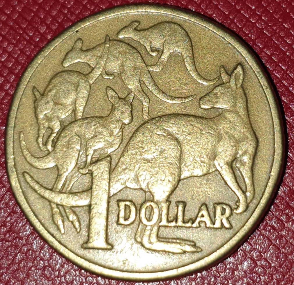 Damaged-1-Dollar-Coin-Knowledge-Needed